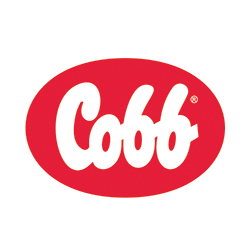 COBB-RUSSIA, LLC